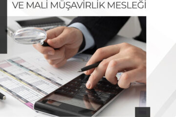 Kariyer Yolculuğu: Vergi Müfettişliği ve Mali Müşavirlik Mesleği